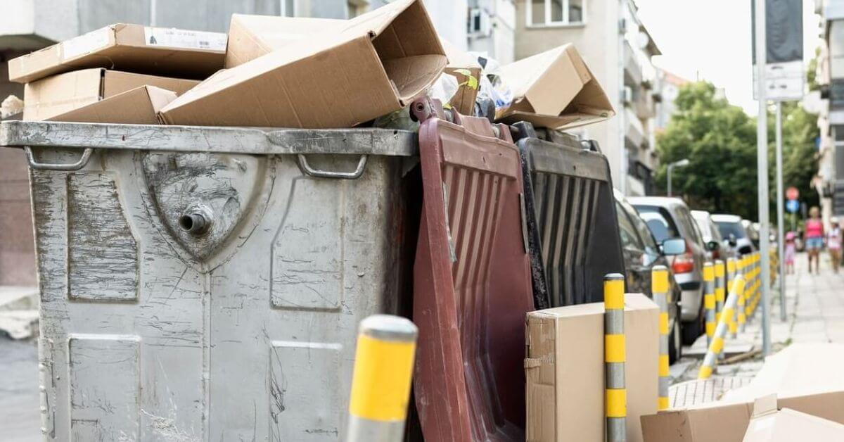 Skip Bin vs Rubbish Removal